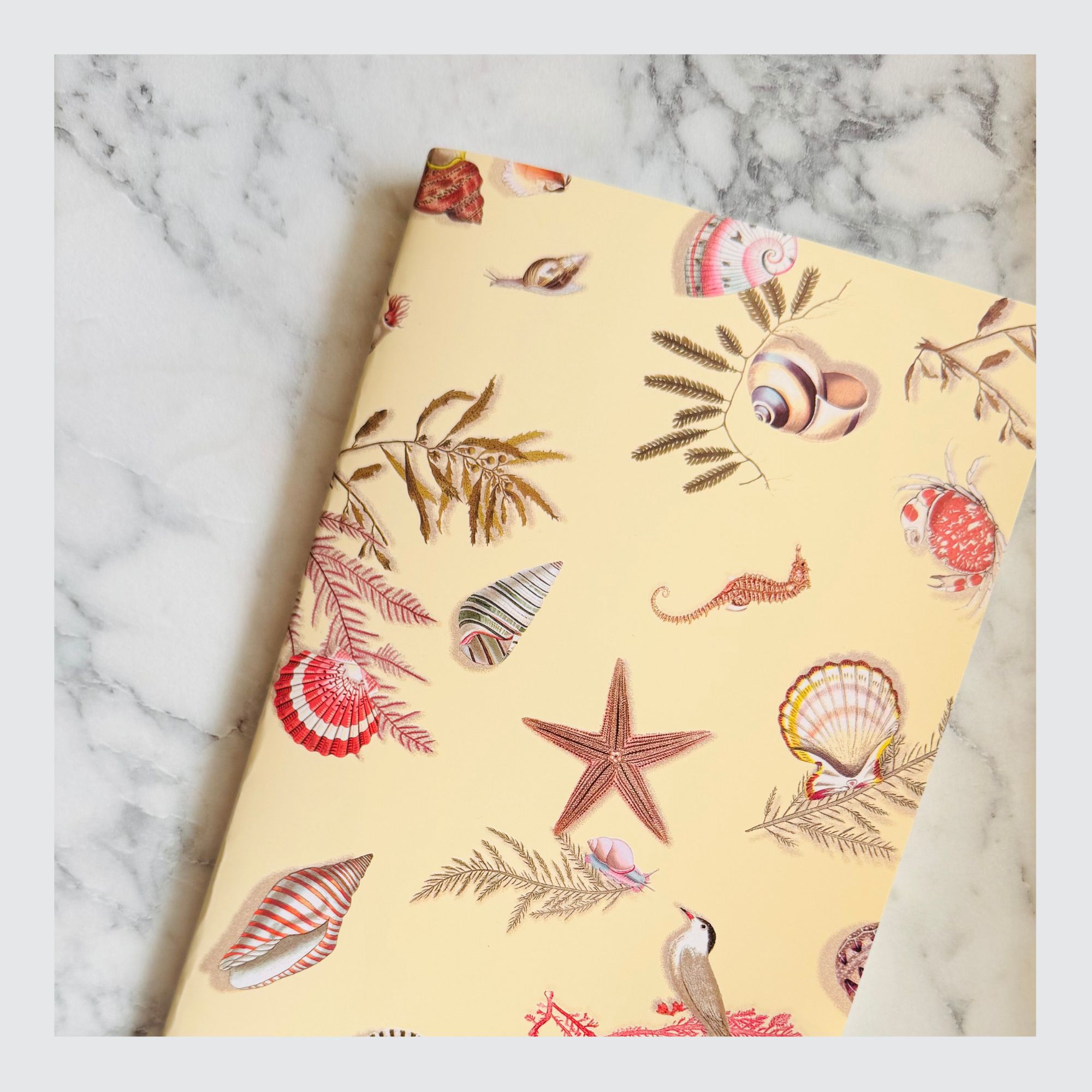 Fable Whispering Sands Notebook ruled